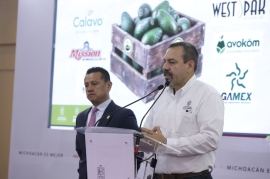 Michoacán exporta aguacate certificado para el Super Bowl